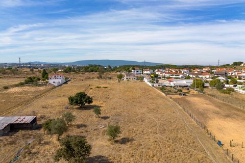 Villa i Torres Novas, Santarem, Torres Novas - € 450.000 | Ref: C0452-00518 - foto 3