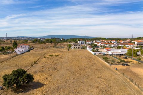 Villa i Torres Novas, Santarem, Torres Novas - € 450.000 | Ref: C0452-00518 - foto 30