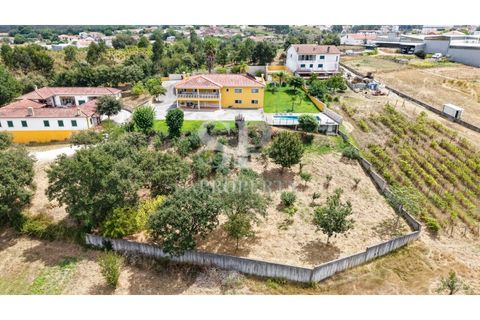 Villa i Batalha, Leiria, Batalha - € 920.000 | Ref: SP333 - foto 5