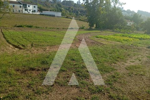 Helårsgrund i Amarante, Porto, Amarante - € 46.000 | Ref: 1360092/25PN - foto 7