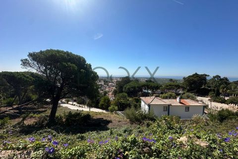 Helårsgrund i Alcabideche, Lisbon, Alcabideche - € 1.290.000 | Ref: PT012-16_B - foto 1