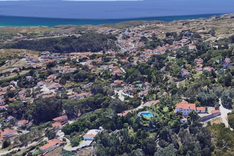 Helårsgrund i Alcabideche, Lisbon, Alcabideche - € 1.290.000 | Ref: PT012-16_B - foto 2
