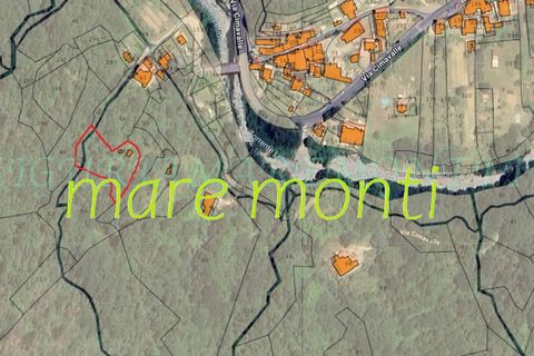 Terra a Savona, Savona, Savona - € 5.000 | Ref: 1520 - foto 2