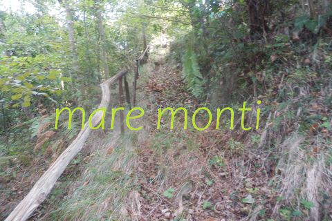 Terra a Savona, Savona, Savona - € 5.000 | Ref: 1520 - foto 4