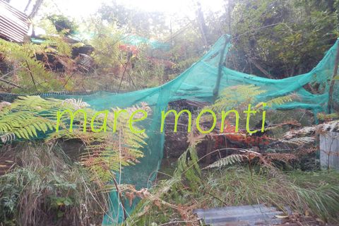 Terra a Savona, Savona, Savona - € 5.000 | Ref: 1520 - foto 6