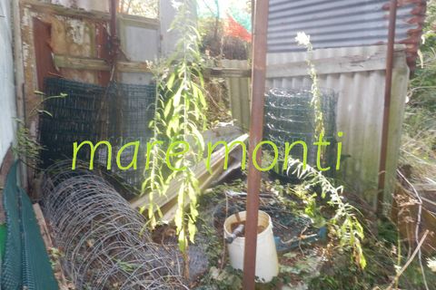 Terra a Savona, Savona, Savona - € 5.000 | Ref: 1520 - foto 8