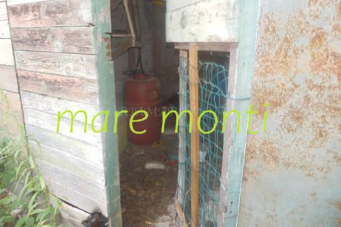 Terra a Savona, Savona, Savona - € 5.000 | Ref: 1520 - foto 9