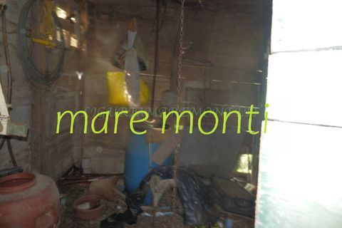 Terra a Savona, Savona, Savona - € 5.000 | Ref: 1520 - foto 10