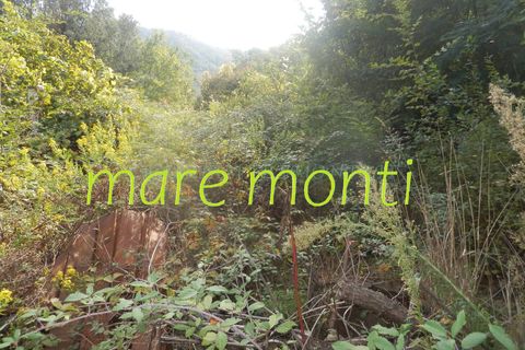 Terra a Savona, Savona, Savona - € 5.000 | Ref: 1520 - foto 11