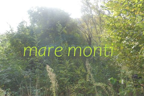Terra a Savona, Savona, Savona - € 5.000 | Ref: 1520 - foto 12