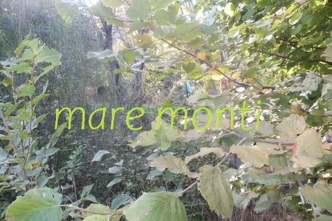 Terra a Savona, Savona, Savona - € 5.000 | Ref: 1520 - foto 13