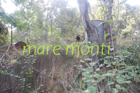 Terra a Savona, Savona, Savona - € 5.000 | Ref: 1520 - foto 15