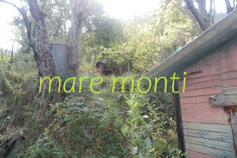 Terra a Savona, Savona, Savona - € 5.000 | Ref: 1520 - foto 16
