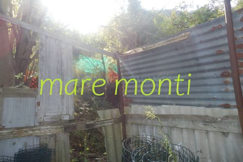 Terra a Savona, Savona, Savona - € 5.000 | Ref: 1520 - foto 18
