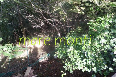 Terra a Savona, Savona, Savona - € 5.000 | Ref: 1520 - foto 19