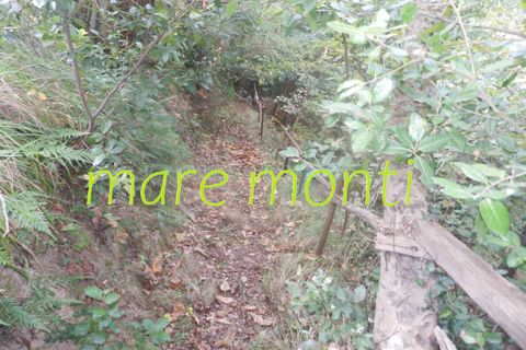 Terra a Savona, Savona, Savona - € 5.000 | Ref: 1520 - foto 20