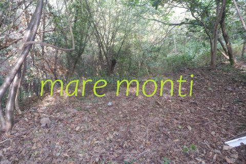 Terra a Savona, Savona, Savona - € 5.000 | Ref: 1520 - foto 21