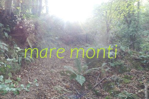 Terra a Savona, Savona, Savona - € 5.000 | Ref: 1520 - foto 22
