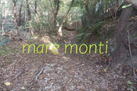 Terra a Savona, Savona, Savona - € 5.000 | Ref: 1520 - foto 23