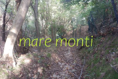 Terra a Savona, Savona, Savona - € 5.000 | Ref: 1520 - foto 24
