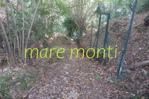 Terra a Savona, Savona, Savona - € 5.000 | Ref: 1520 - foto 25