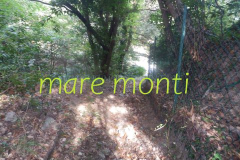 Terra a Savona, Savona, Savona - € 5.000 | Ref: 1520 - foto 26