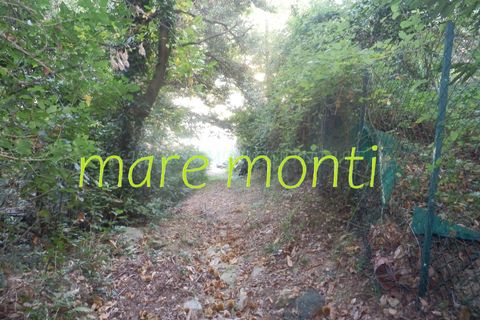 Terra a Savona, Savona, Savona - € 5.000 | Ref: 1520 - foto 27
