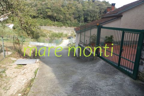Terra a Savona, Savona, Savona - € 5.000 | Ref: 1520 - foto 29