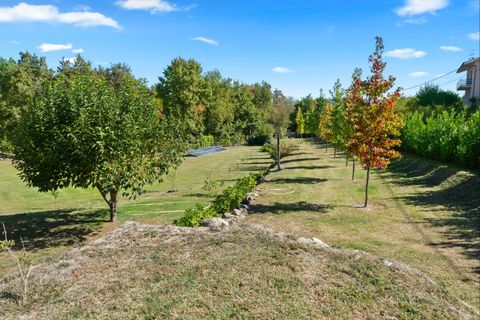 Villa i Vila Real, Vila Real, Vila Real - € 2.750.000 | Ref: IM014-FS - foto 9