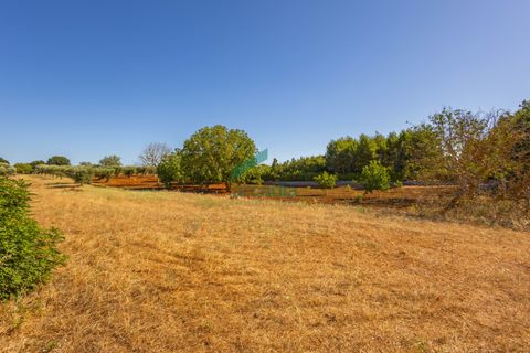Villa i Alberobello, Bari, Alberobello - € 160.000 | Ref: 11986/2025 - foto 9