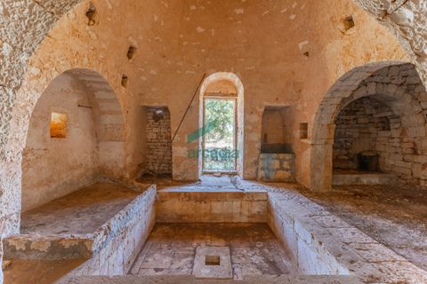 Villa i Alberobello, Bari, Alberobello - € 160.000 | Ref: 11986/2025 - foto 24