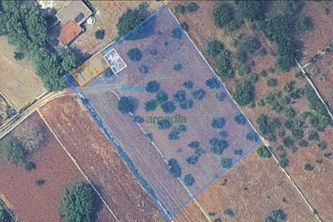 Villa i Alberobello, Bari, Alberobello - € 160.000 | Ref: 11986/2025 - foto 38