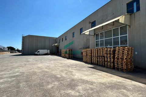 L'establiment comercial a Modugno, Bari, Modugno - € 3.100.000 | Ref: 11992/2025 - foto 9