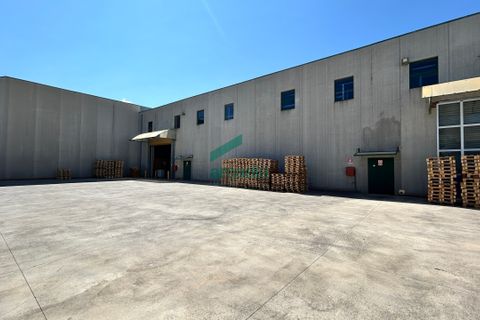 L'establiment comercial a Modugno, Bari, Modugno - € 3.100.000 | Ref: 11992/2025 - foto 13