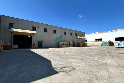 L'establiment comercial a Modugno, Bari, Modugno - € 3.100.000 | Ref: 11992/2025 - foto 14