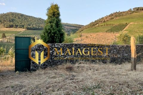 Helårsgrund i Freixo de Espada a Cinta, Braganca, Freixo de Espada a Cinta - € 275.000 | Ref: fec_P251001 - foto 2