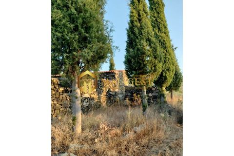Helårsgrund i Freixo de Espada a Cinta, Braganca, Freixo de Espada a Cinta - € 275.000 | Ref: fec_P251001 - foto 3