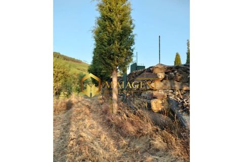 Helårsgrund i Freixo de Espada a Cinta, Braganca, Freixo de Espada a Cinta - € 275.000 | Ref: fec_P251001 - foto 5