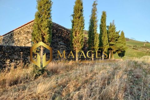 Helårsgrund i Freixo de Espada a Cinta, Braganca, Freixo de Espada a Cinta - € 275.000 | Ref: fec_P251001 - foto 7