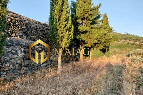Helårsgrund i Freixo de Espada a Cinta, Braganca, Freixo de Espada a Cinta - € 275.000 | Ref: fec_P251001 - foto 9