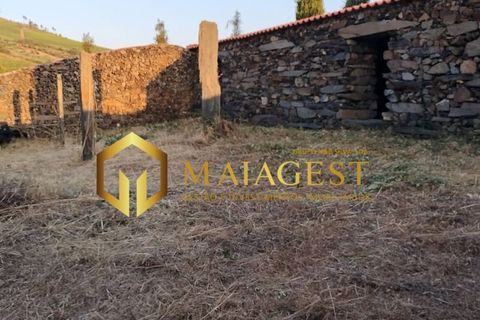 Helårsgrund i Freixo de Espada a Cinta, Braganca, Freixo de Espada a Cinta - € 275.000 | Ref: fec_P251001 - foto 13