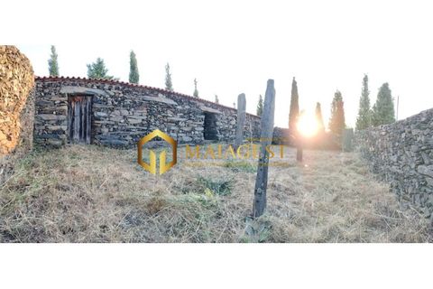 Helårsgrund i Freixo de Espada a Cinta, Braganca, Freixo de Espada a Cinta - € 275.000 | Ref: fec_P251001 - foto 14