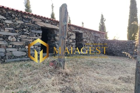 Helårsgrund i Freixo de Espada a Cinta, Braganca, Freixo de Espada a Cinta - € 275.000 | Ref: fec_P251001 - foto 15