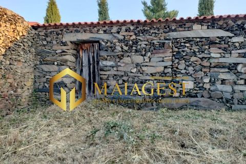 Helårsgrund i Freixo de Espada a Cinta, Braganca, Freixo de Espada a Cinta - € 275.000 | Ref: fec_P251001 - foto 16
