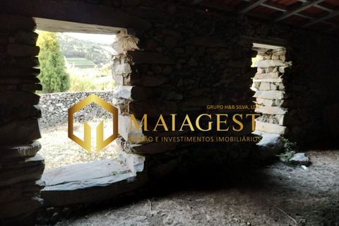 Helårsgrund i Freixo de Espada a Cinta, Braganca, Freixo de Espada a Cinta - € 275.000 | Ref: fec_P251001 - foto 17