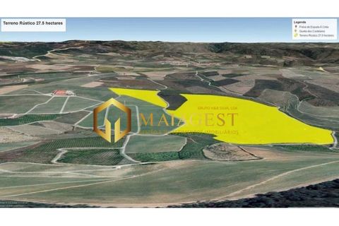 Helårsgrund i Freixo de Espada a Cinta, Braganca, Freixo de Espada a Cinta - € 275.000 | Ref: fec_P251001 - foto 20
