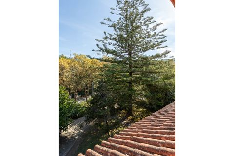 Villa i Sintra, Lisbon, Sintra - € 960.000 | Ref: CAS_7449 - foto 28