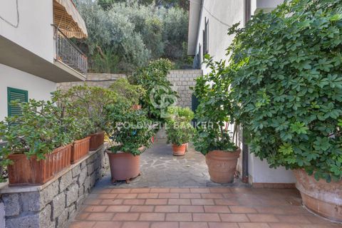 Villa i Campo Nell'Elba, Livorno, Campo Nell'Elba - € 790.000 | Ref: CBI123-1458-219 - foto 35