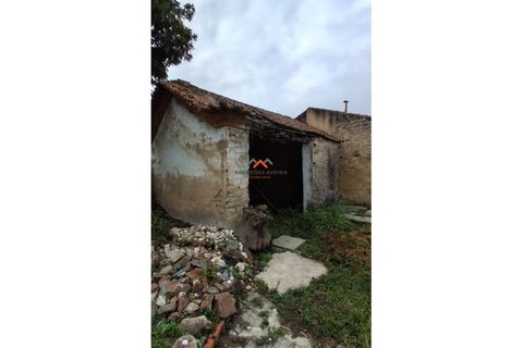 Villa i Aveiro, Aveiro, Aveiro - € 390.000 | Ref: 6600 - foto 24