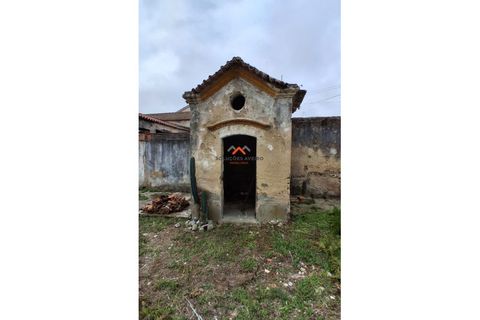Villa i Aveiro, Aveiro, Aveiro - € 390.000 | Ref: 6600 - foto 26